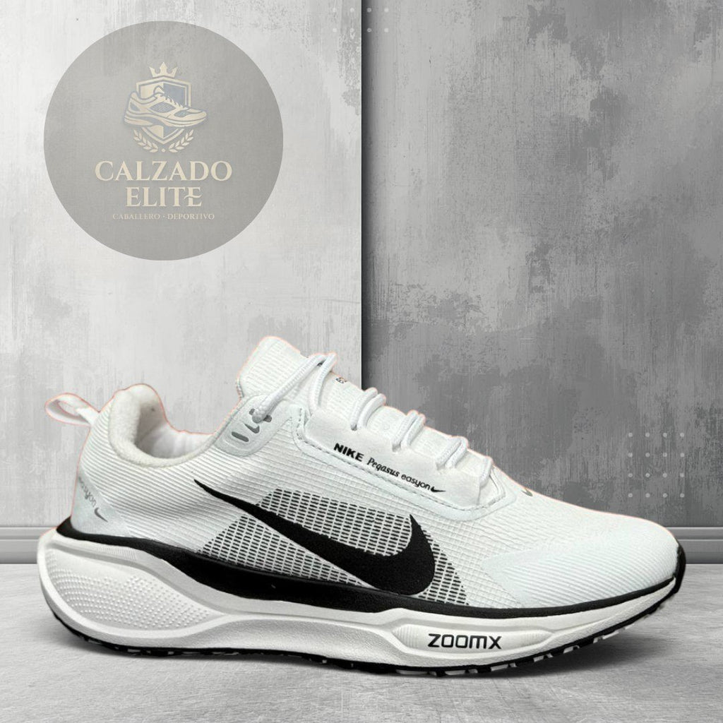 Nk Pegasus